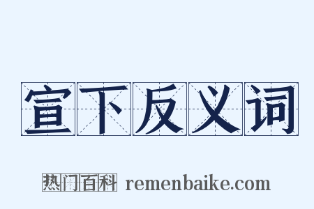 宣下反义词是什么意思的图片